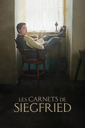 Poster Les Carnets de Siegfried 2021
