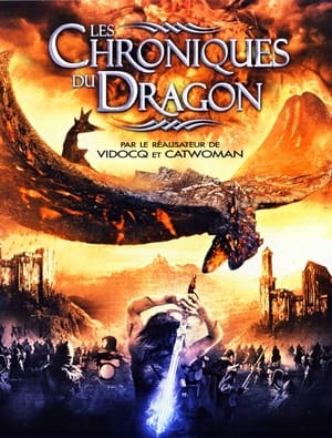Poster Les Chroniques du Dragon 2008