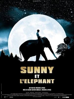 Image Sunny és az elefánt