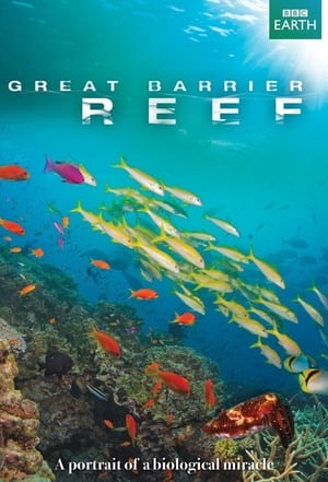 Poster Great Barrier Reef 2012