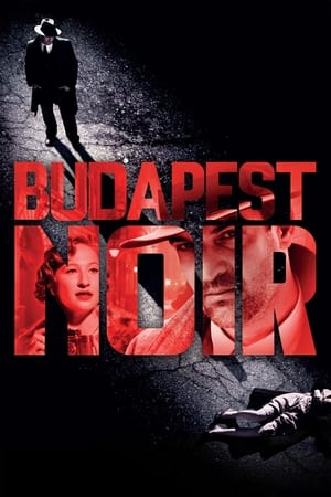 Poster Budapest Noir 2017