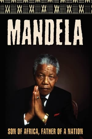 Poster Mandela 1996