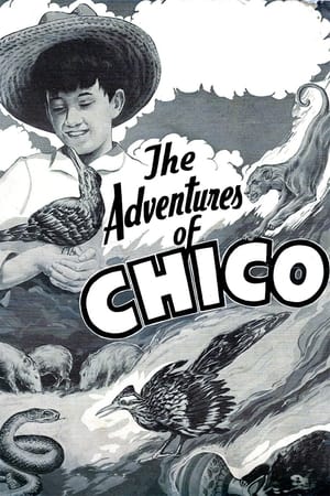 Poster The Adventures of Chico 1938