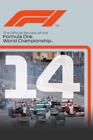 Poster 2014 FIA Formula One World Championship Season Review 2014