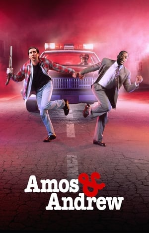 Poster Amos & Andrew 1993