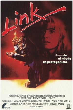 Poster Link 1986