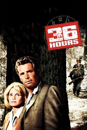Poster 36 Hours 1964