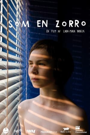 Poster Som en Zorro 2012