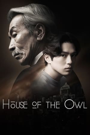 Image House of the Owl