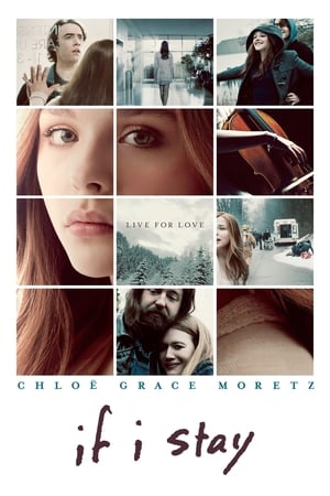 Image If I Stay