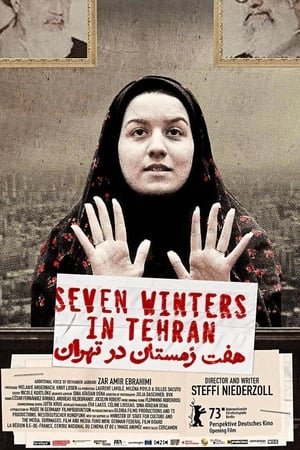 Image Seven Winters in Tehran