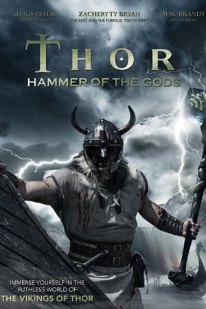 Poster Hammer of the Gods 2009