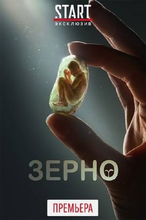 Poster Зерно 2016