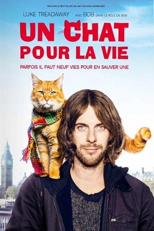 Poster Un chat pour la vie 2016