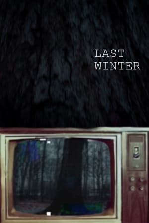 Poster Last Winter 