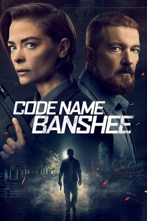 Image Code Name Banshee