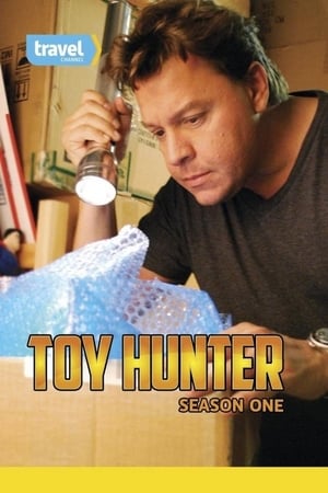 Poster Toy Hunters 2012