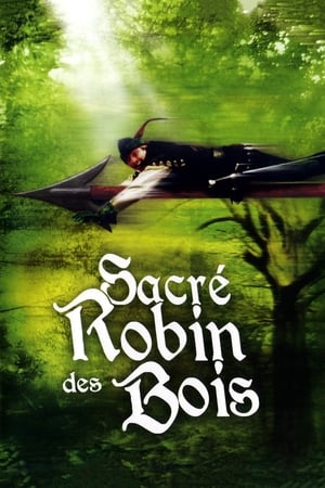 Poster Sacré Robin des bois 1993
