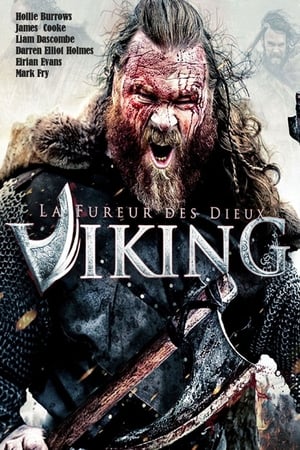 Poster Viking : La fureur des dieux 2016