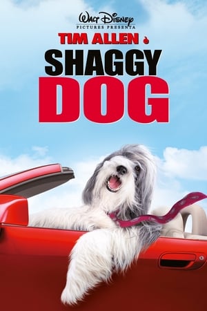 Image Shaggy Dog - Papà che abbaia non morde