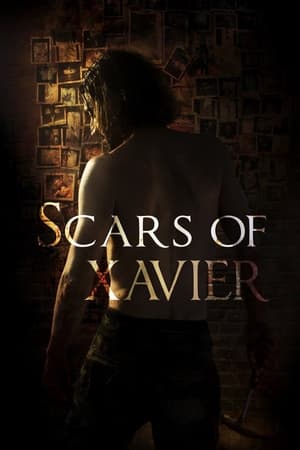 Image Scars of Xavier