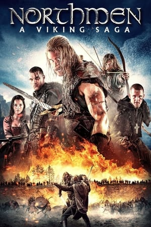 Poster Northmen: A Viking Saga 2014
