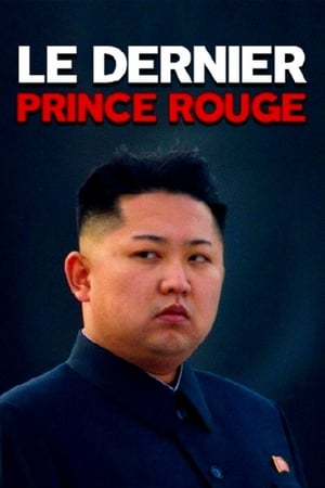 Poster Kim Jong-un: biografía no autorizada 2015