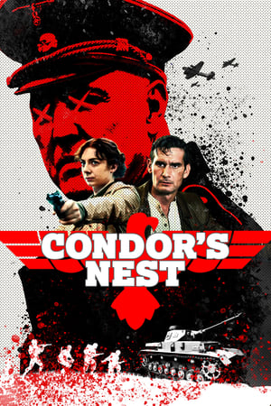 Poster Condor's Nest 2023