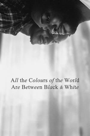 Poster All the Colours of the World Are Between Black and White 2023