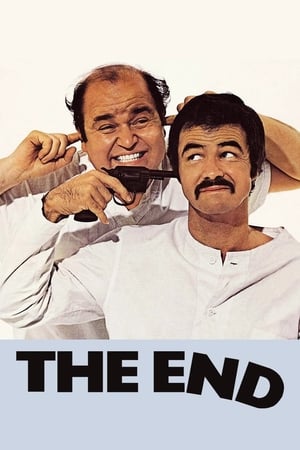 Poster The End 1978