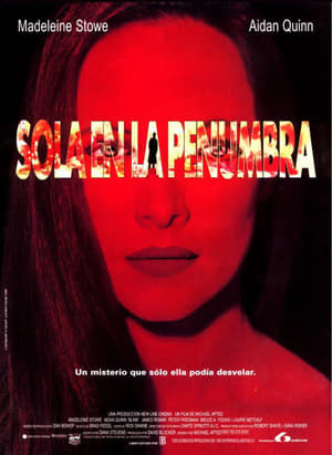 Poster Sola en la penumbra 1993
