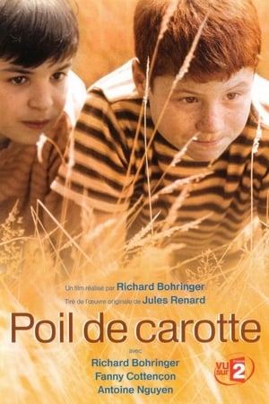 Poster Poil de carotte 2003