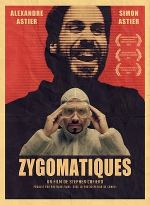 Poster Zygomatiques 2013