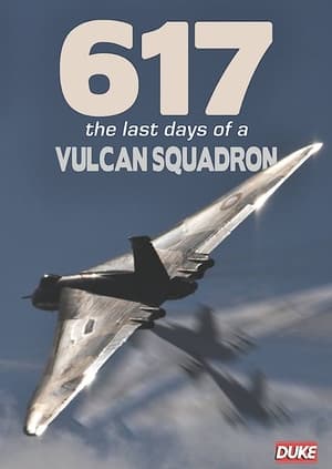 Image 617: The Last Days of a Vulcan Squadron