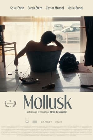 Poster Mollusk 2023