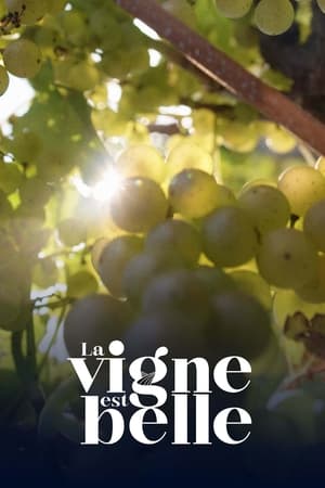 Poster La vigne est belle 2022