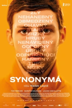 Poster Synonymá 2019