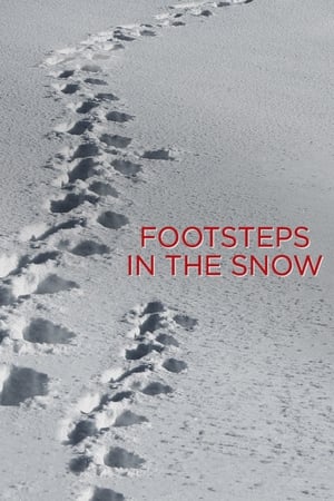 Image Footsteps in the Snow