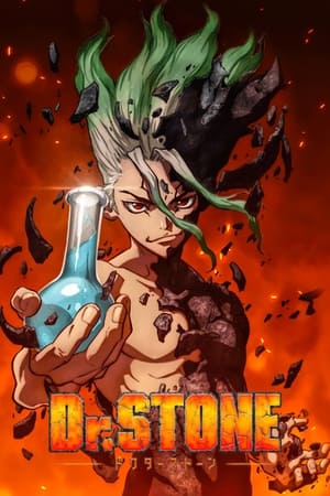 Poster Dr. Stone 2019