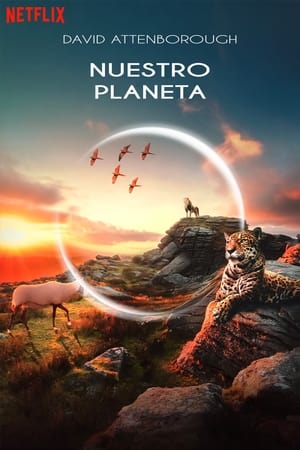 Poster Nuestro Planeta 2019