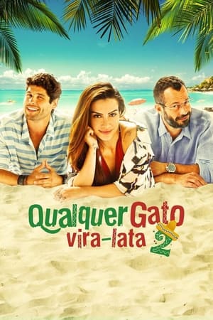 Poster Qualquer Gato Vira-Lata 2 2015