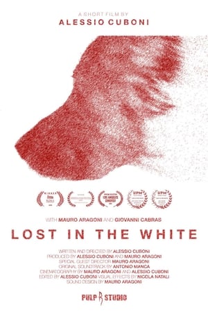 Image Lost in the White