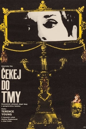 Poster Čekej do tmy 1967