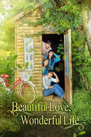 Poster Beautiful Love, Wonderful Life 2019