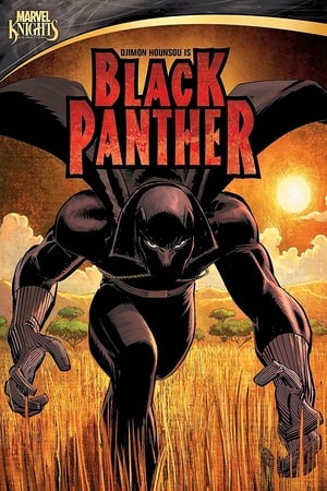 Poster Black Panther 2010