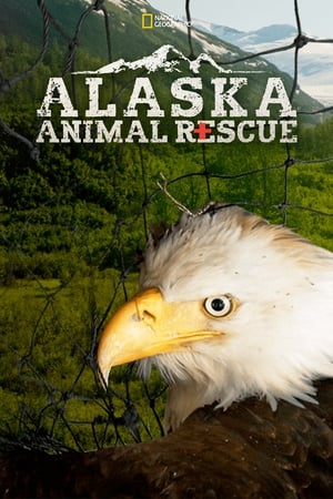 Poster Alaska Animal Rescue 2020