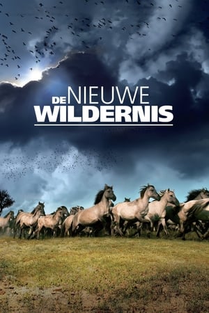 Poster De Nieuwe Wildernis 2013