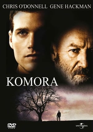 Poster Komora 1996