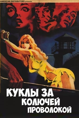 Poster Куклы за колючей проволокой 1976