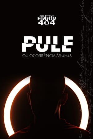 Poster Pule ou Ocorrência às 4h48 2020